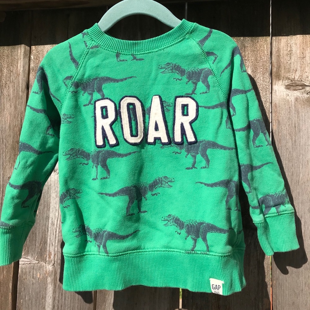 Toddler Boy’s sweatshirt, size 2T